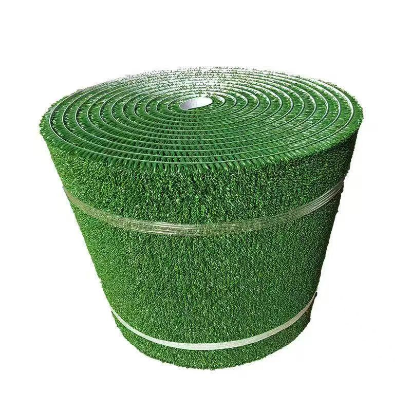 Manfaat Tikar Rumput Penangkap Emas